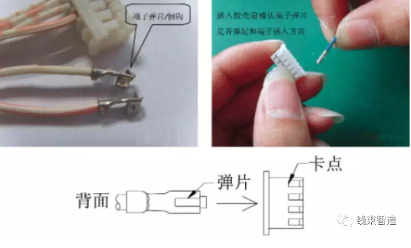 屏幕截圖 2021-10-09 103530.png