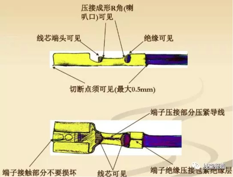 屏幕截圖 2021-11-16 110954.JPG