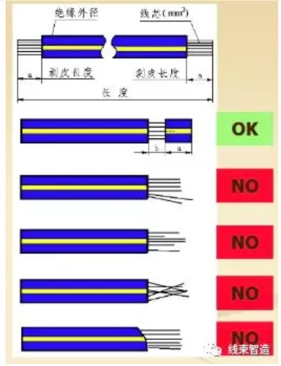 屏幕截圖 2021-11-16 110723.JPG