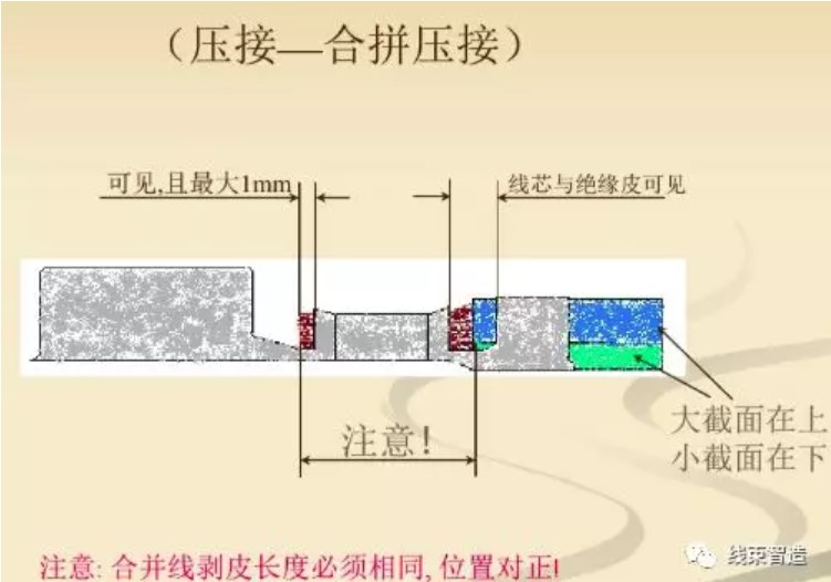 屏幕截圖 2021-11-16 111010.JPG