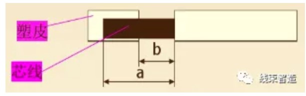 屏幕截圖 2021-11-16 110639.JPG