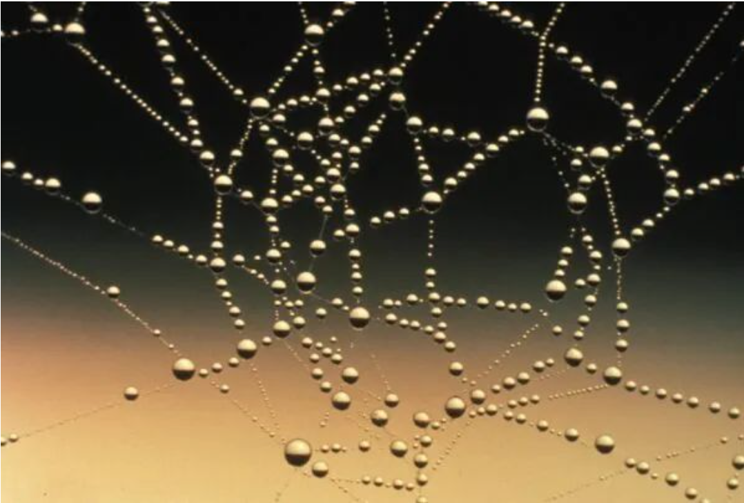 盤點(diǎn)一下2021年連接器行業(yè)收購的那些事