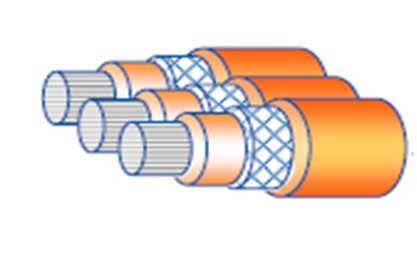 屏幕截圖 2022-05-23 102719.jpg