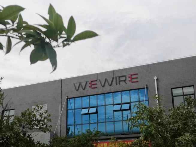 維聯(lián)線束：精準研判行業(yè)發(fā)展 開拓新能源市場 今年目標增長30%