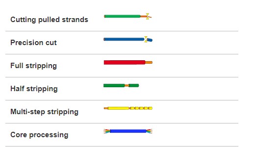 屏幕截圖 2022-09-20 163259.jpg