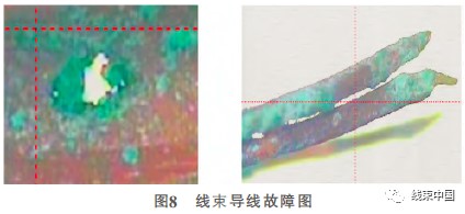 屏幕截圖 2023-02-13 125024.jpg