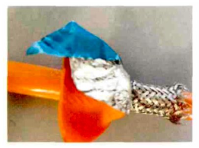 屏幕截圖 2023-05-10 092003.jpg