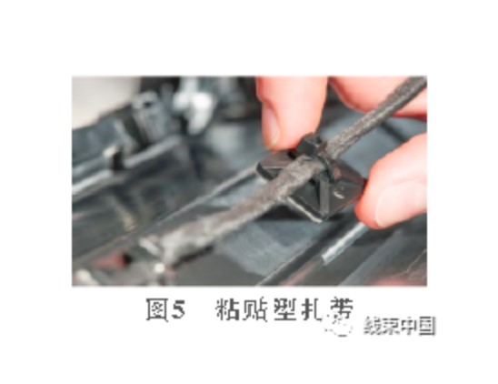 屏幕截圖 2023-08-30 110637.jpg