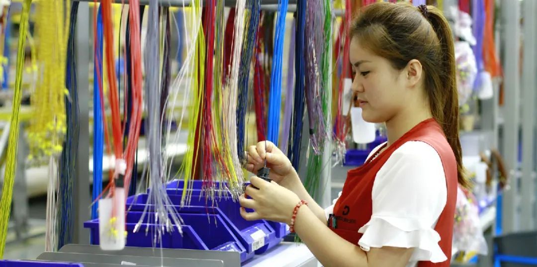 論線束控制計劃的必要性