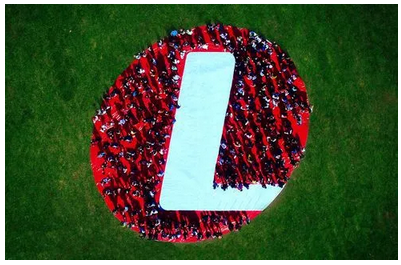 資訊 | 李爾二季度財(cái)報(bào)：凈利達(dá)1.75億美元，營收因缺芯損失10億美元