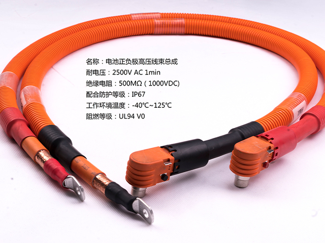 _DSC4512電池正負(fù)極高壓線束-柳州雙飛