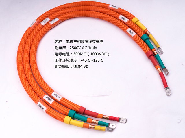 _DSC4519電機(jī)三相高壓線束-柳州雙飛