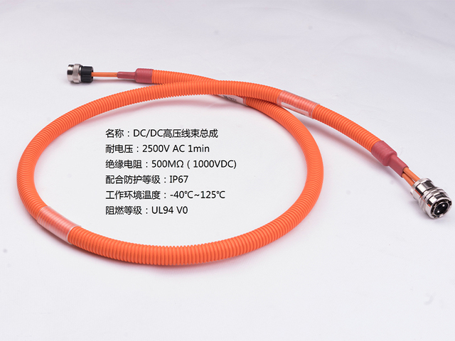 _DSC4480-DC/DC高壓線束總成-柳州雙飛