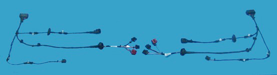 門控系統(tǒng)線束-上海金亭