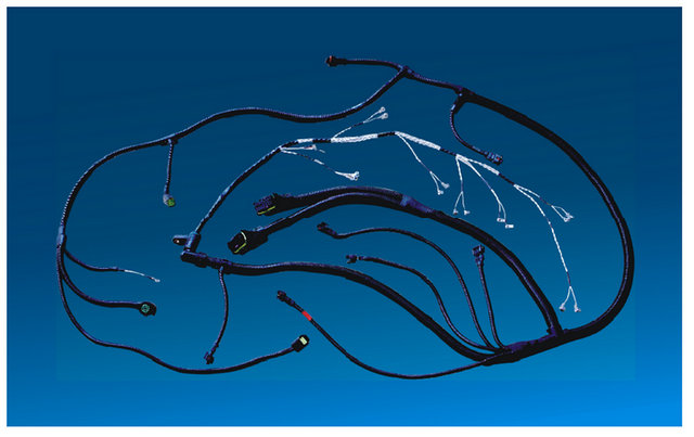 東風(fēng)dci11發(fā)動機(jī)線束總成-湖北正奧