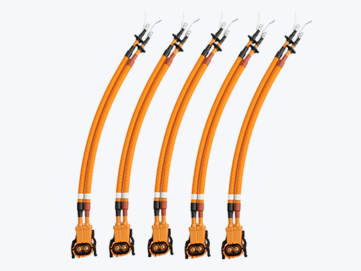 BAT高壓線束總成