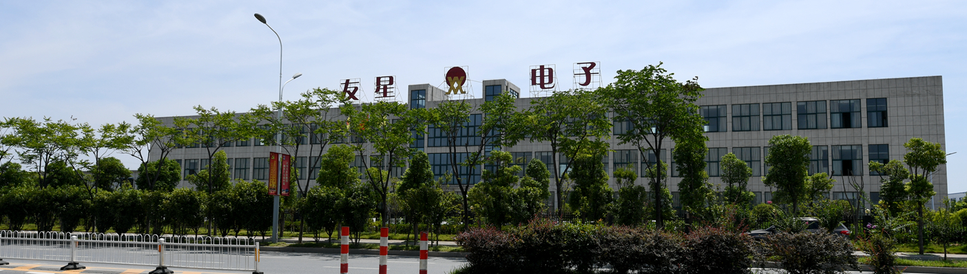 南昌友星電子電器有限公司