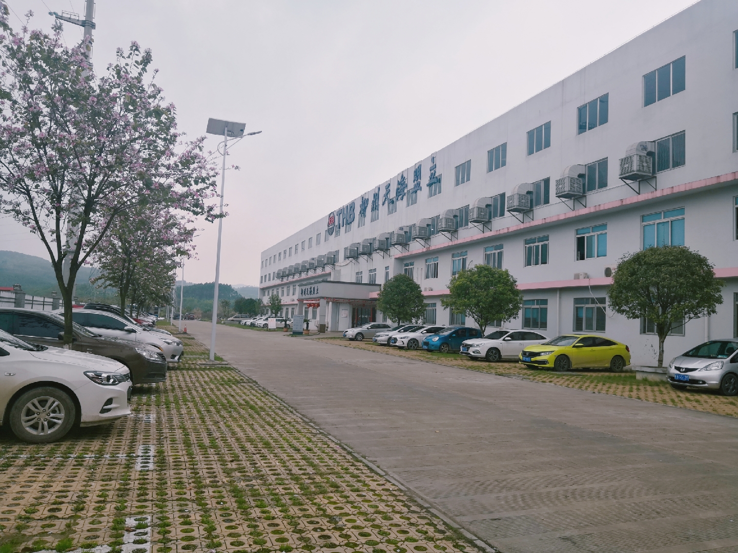 柳州天海盟立電器有限公司