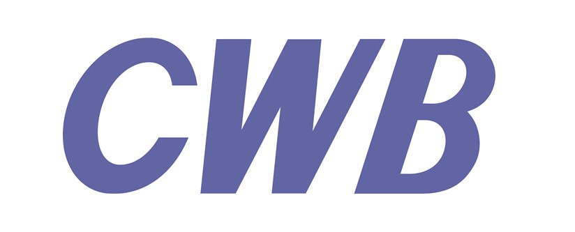 合興汽車電子股份有限公司