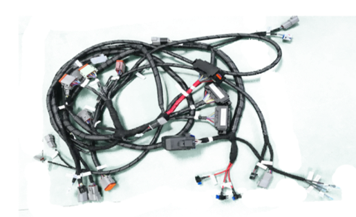 DBW主線束-勤本電子