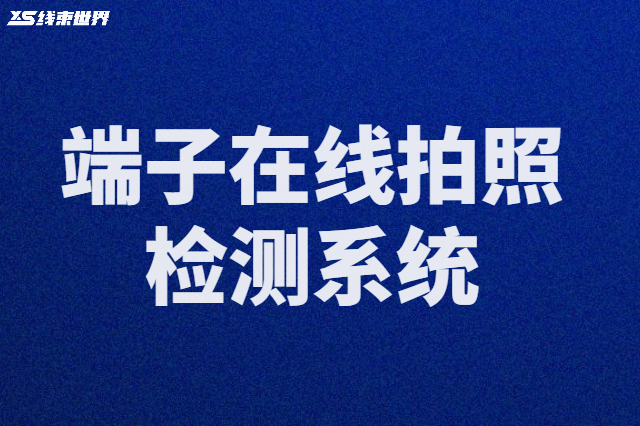 端子在線拍照檢測(cè)系統(tǒng)