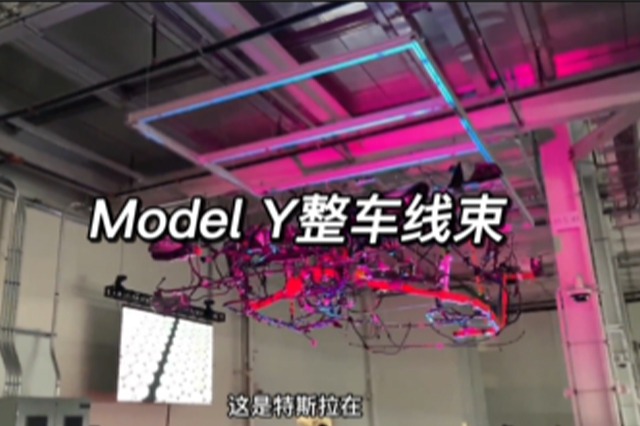 特斯拉Model Y整車線束