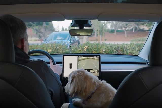 狗模式機(jī)艙攝像頭