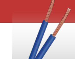 T6級(jí)汽車低壓電線