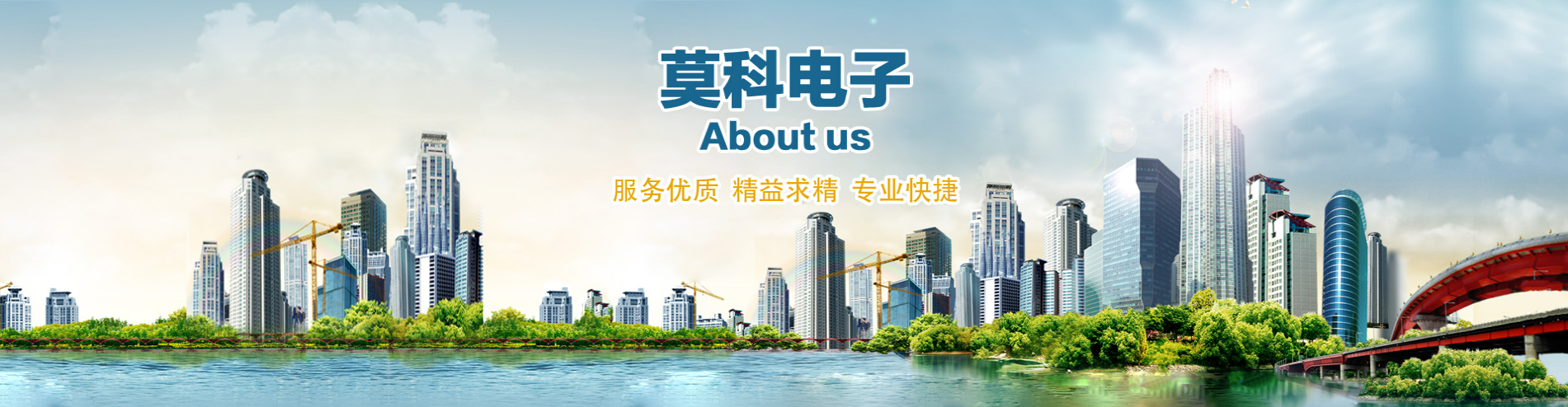 山東莫科電子有限公司