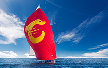 深圳中電港技術(shù)股份有限公司