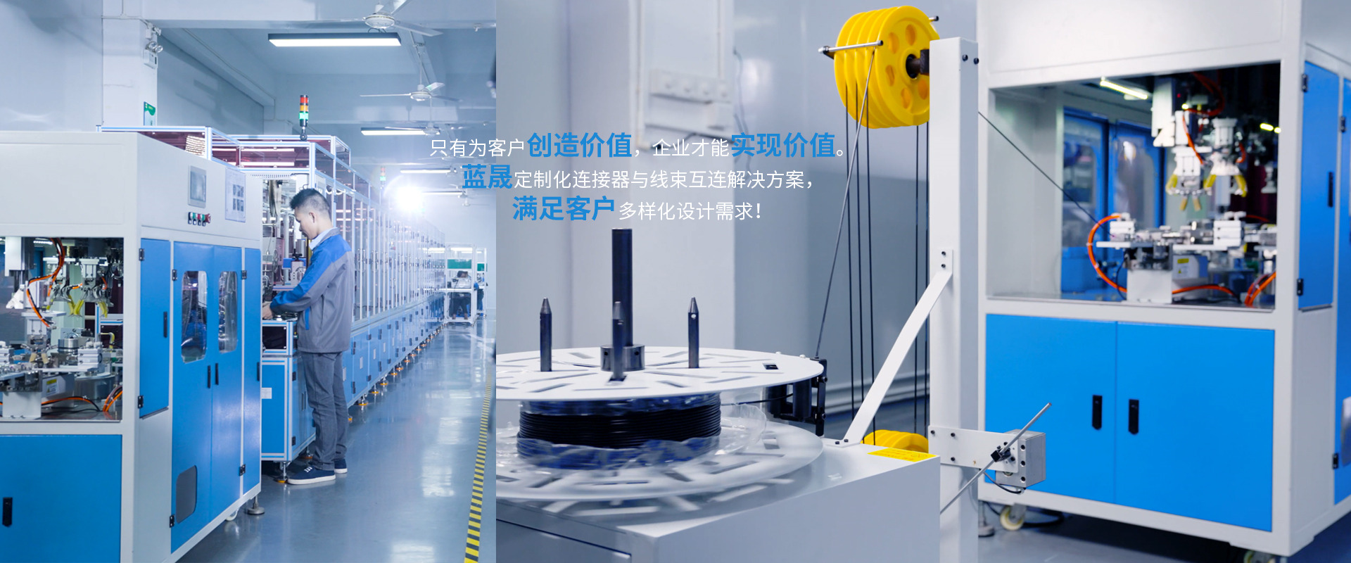 深圳市藍晟電子有限公司